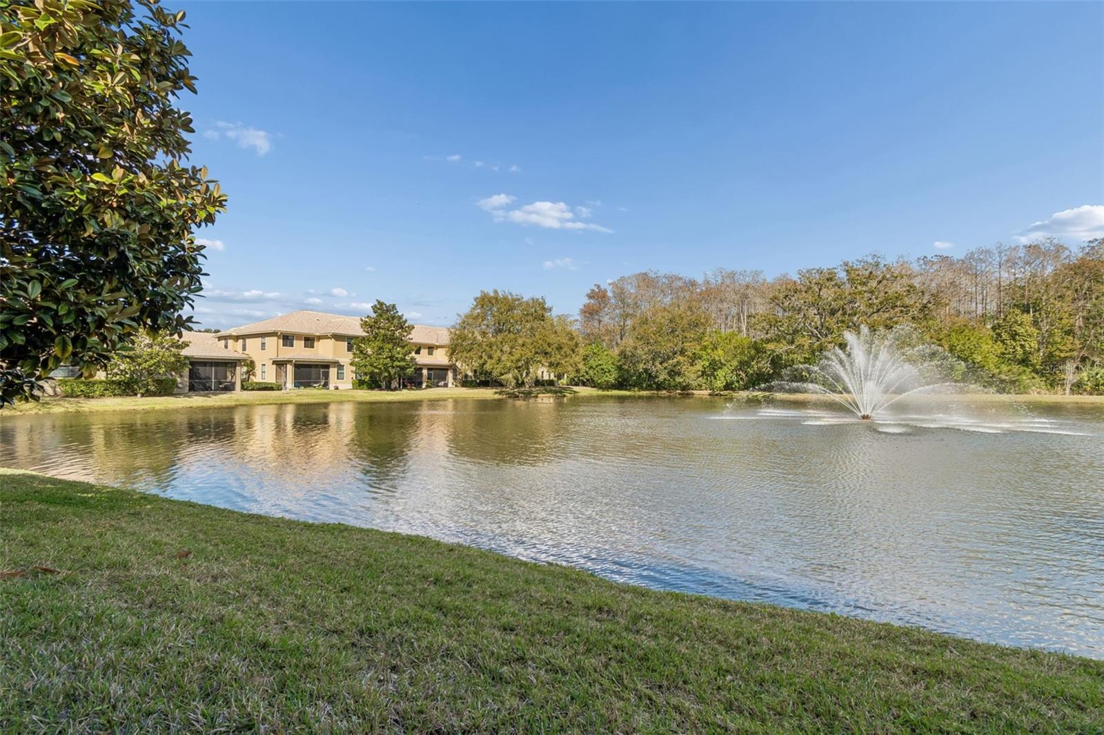 Pond view from lanai