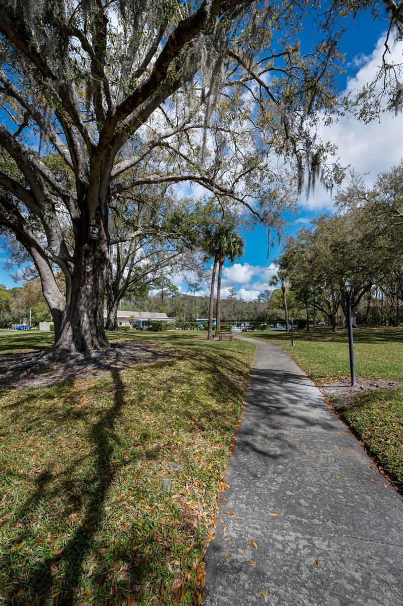 Walk to Clubhouse and Pool