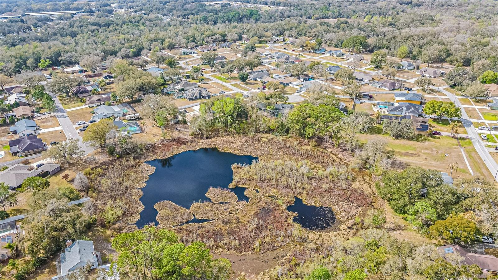 Large Conservation Pond