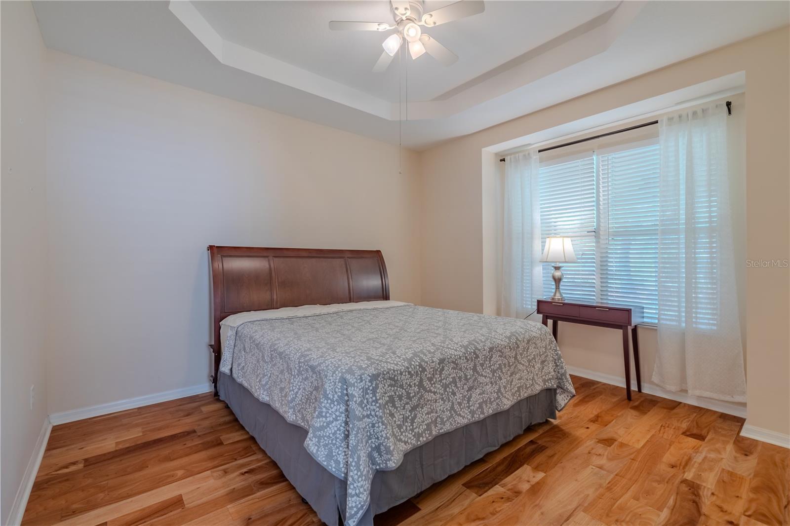 Primary with Tray ceiling & ceiling fan!