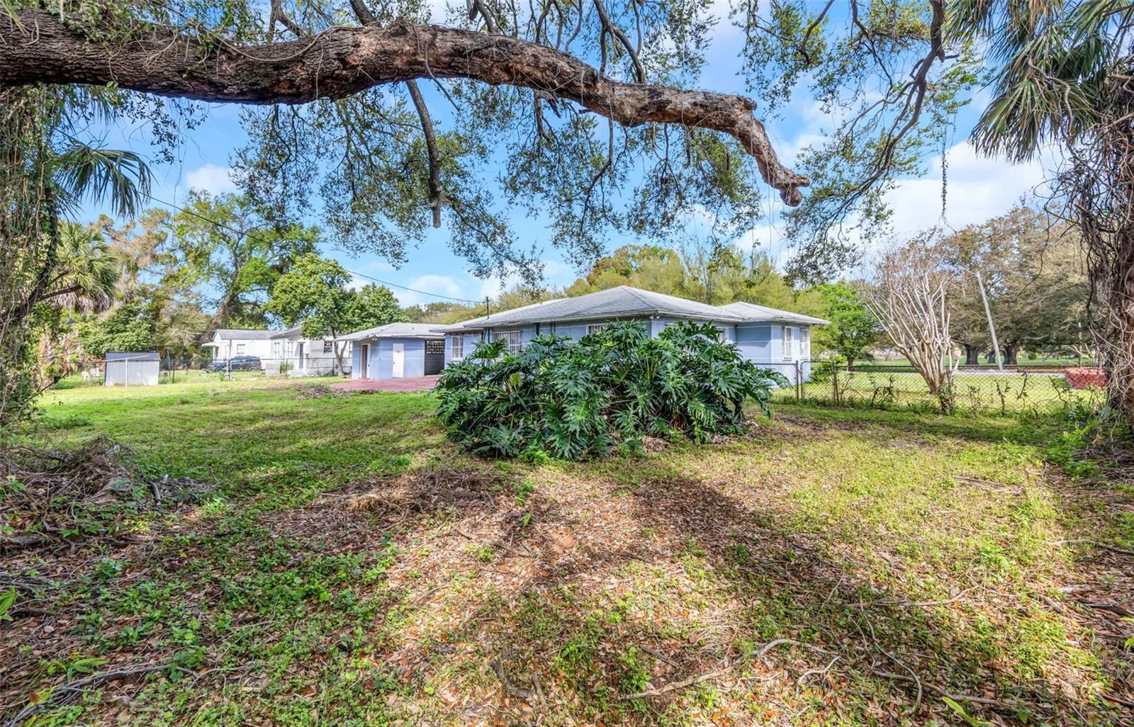 Rear Yard - Reverse View