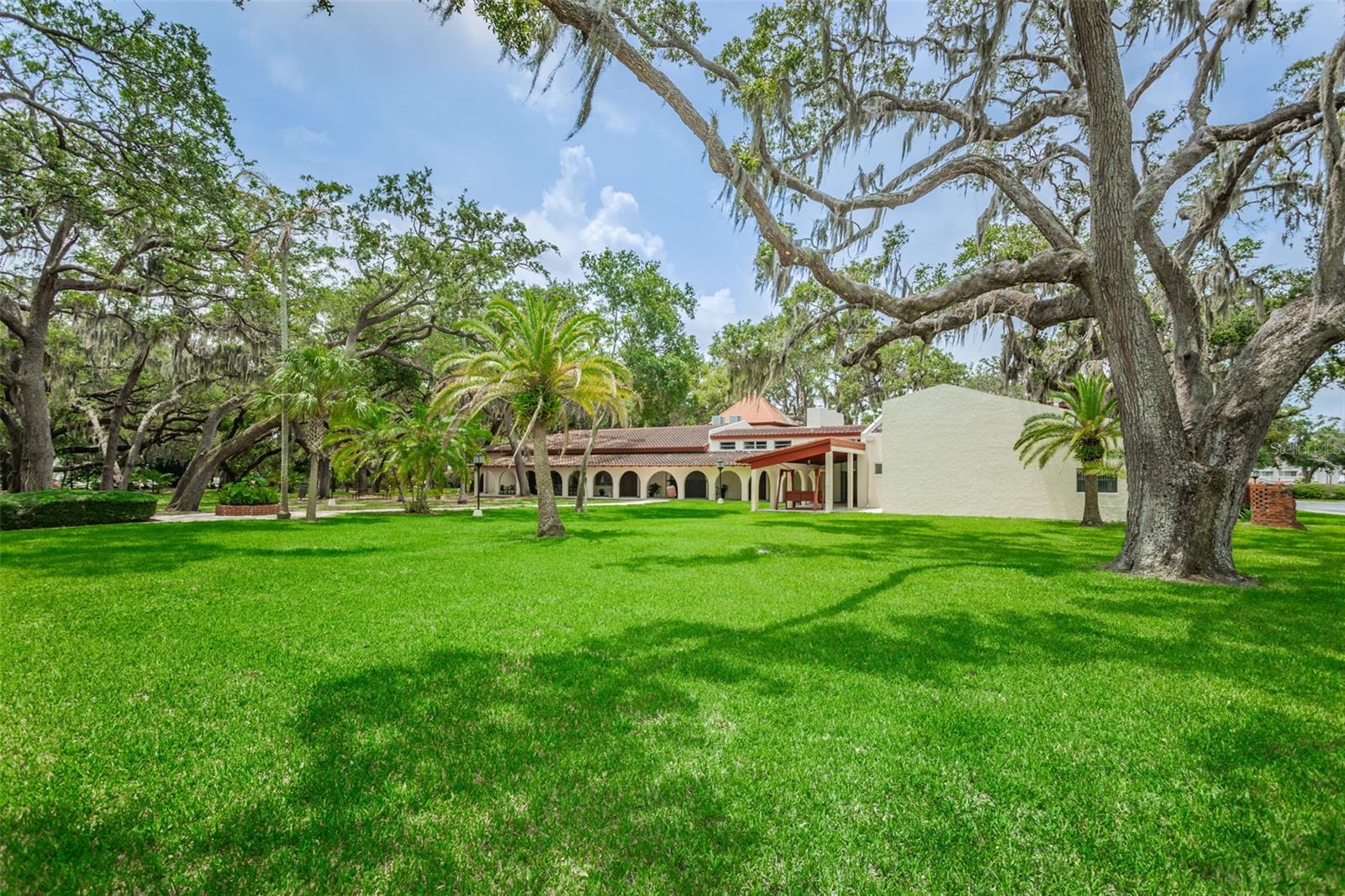 THE BEST HIDDEN GEM IN CLEARWATER