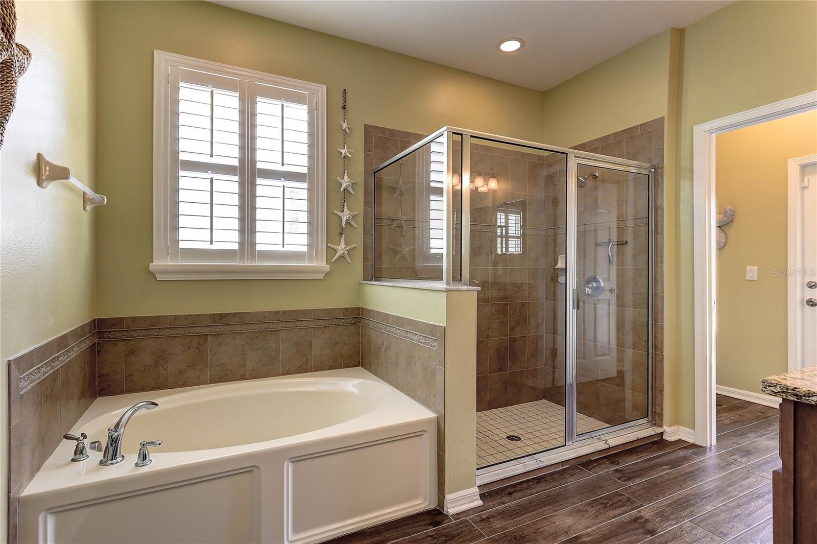 Primary Bath Soaking Tub and Shower
