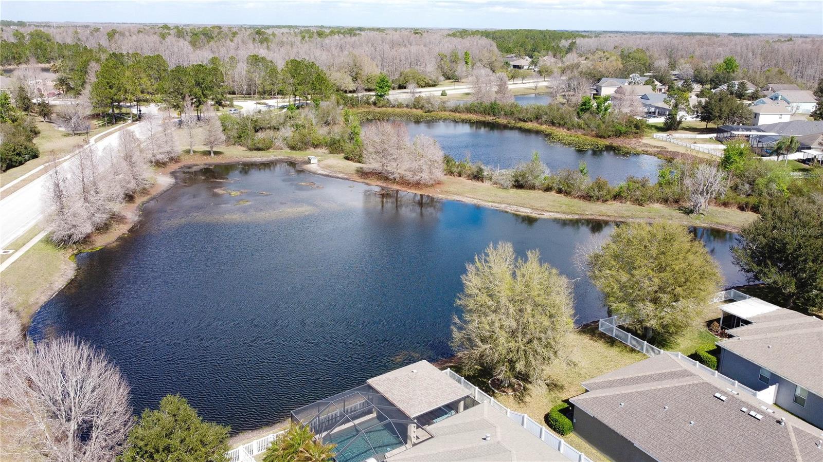 Aerial Showing the Pool and Pond