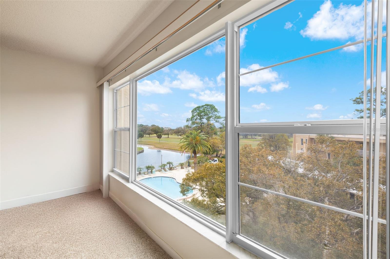 Overlooking the Pool and the Fairway - the convenience of living in central Pinellas County, and the gorgeous green space of the East Bay Country Club.