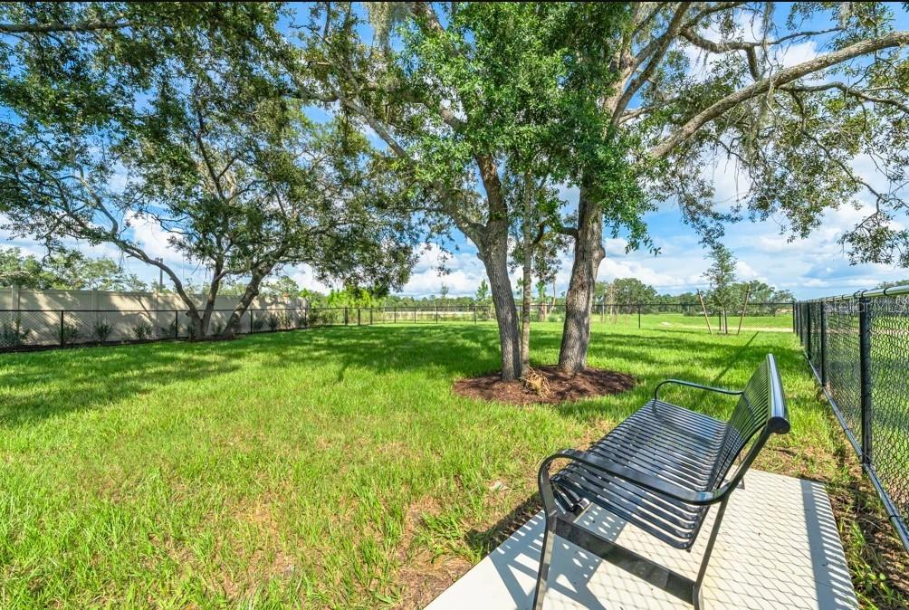 Palm Wind Community Amenities