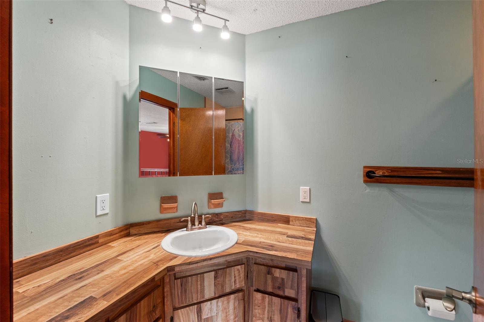 primary guest bathroom