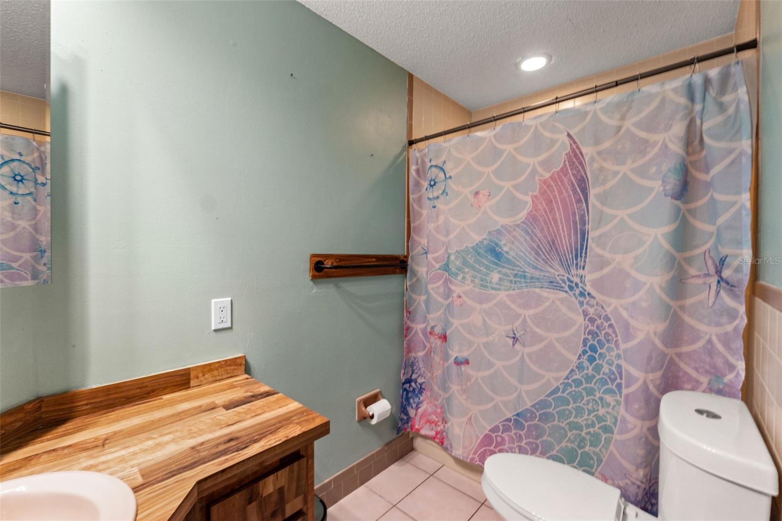 primary guest bathrooom