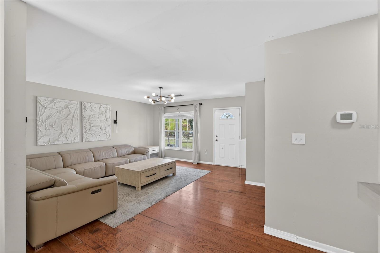 Living Room / Entrance View