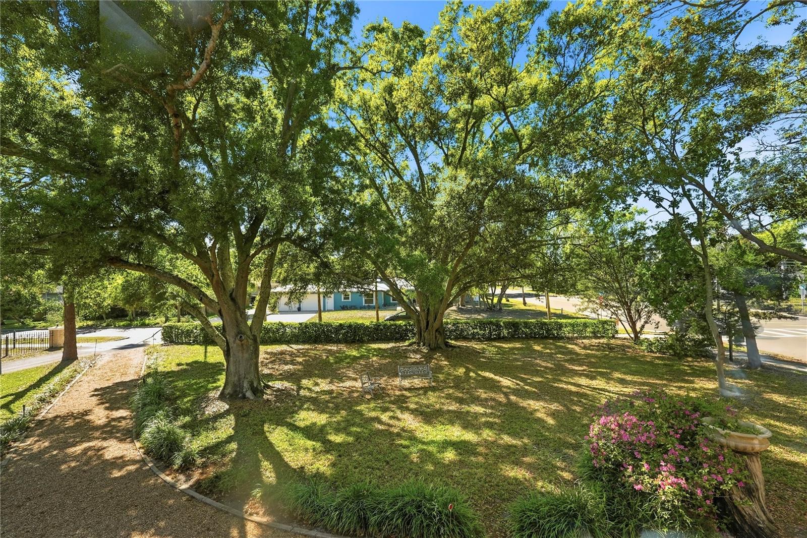 Sprawling double lot