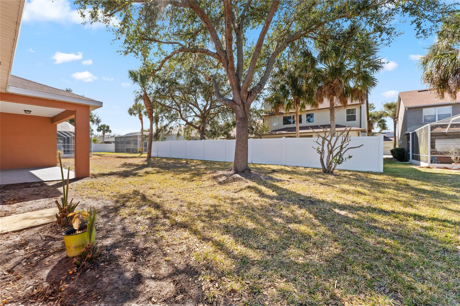 No fences, but really nice neighbors