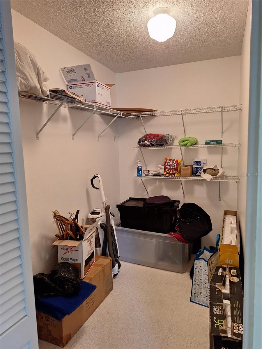 Guest Room Walk-in Closet