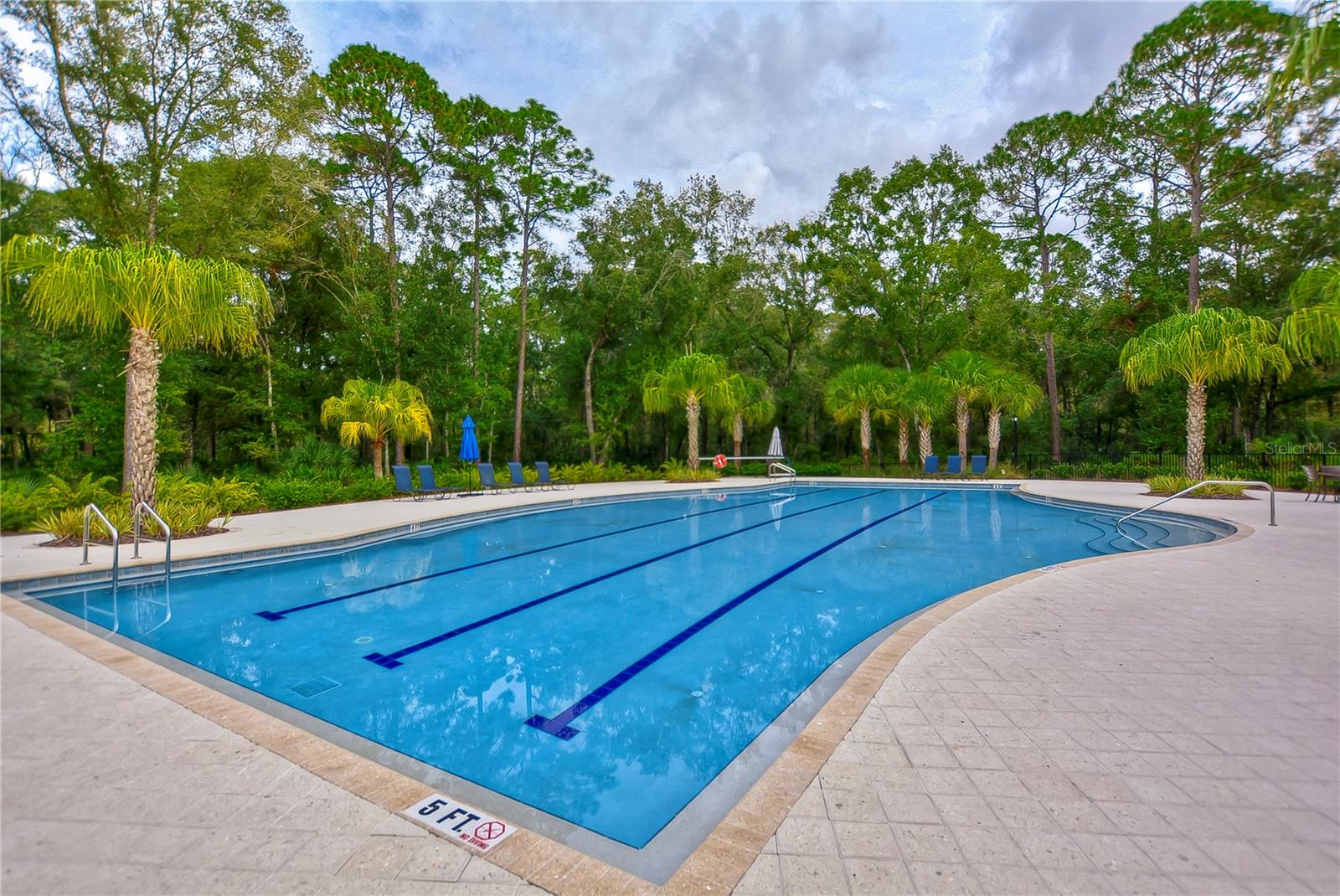 Community pool with lap lines