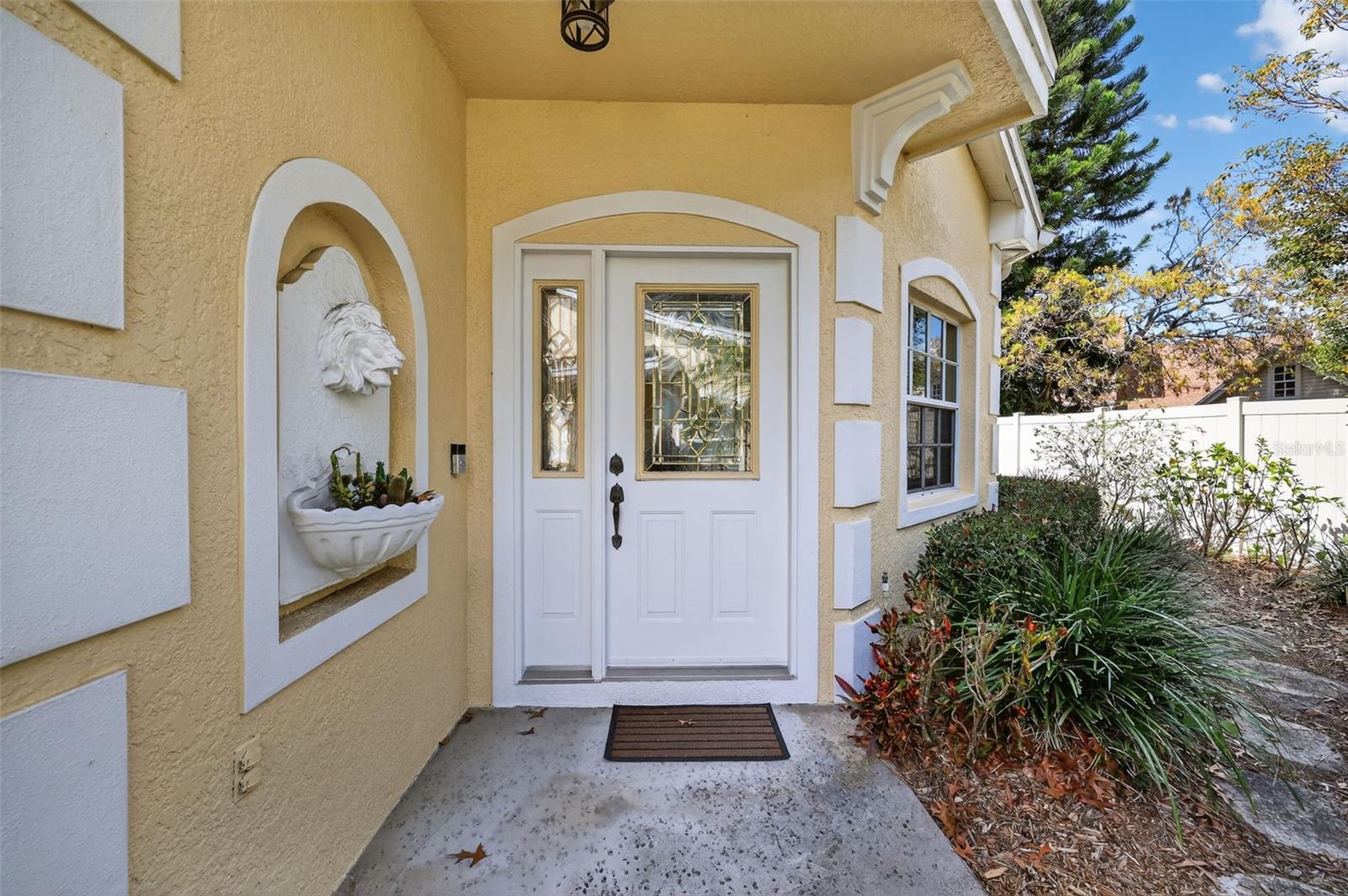 Close up on the Front Door