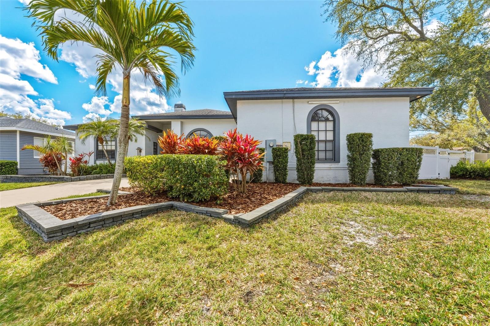 Front Yard with Mature Palm Trees