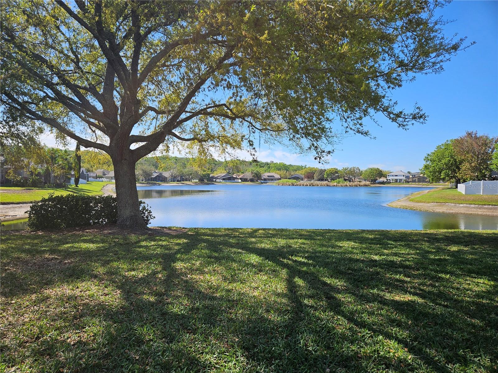 Beautiful Lake view by Pool