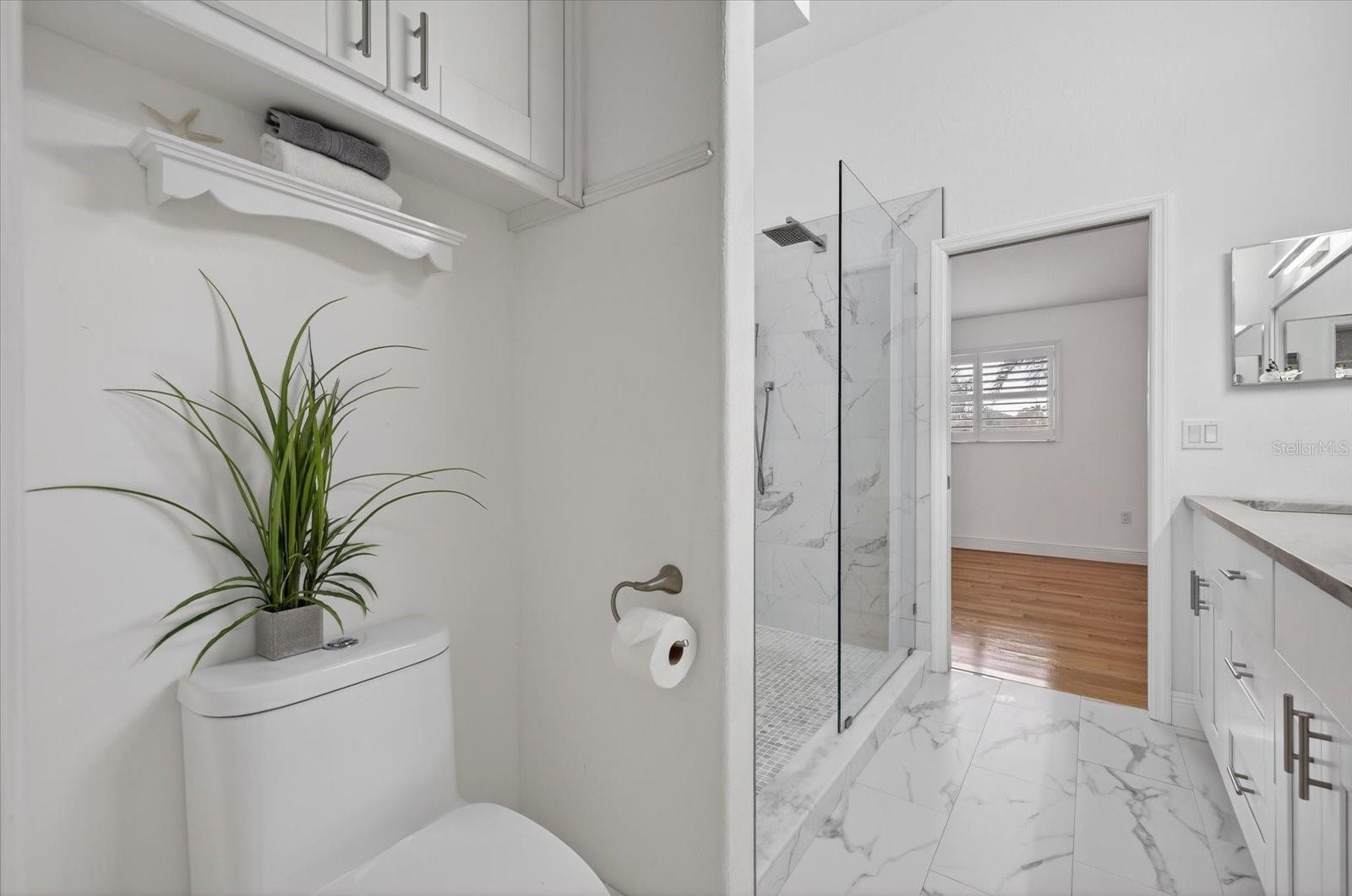 Primary Bathroom view into Primary bedroom