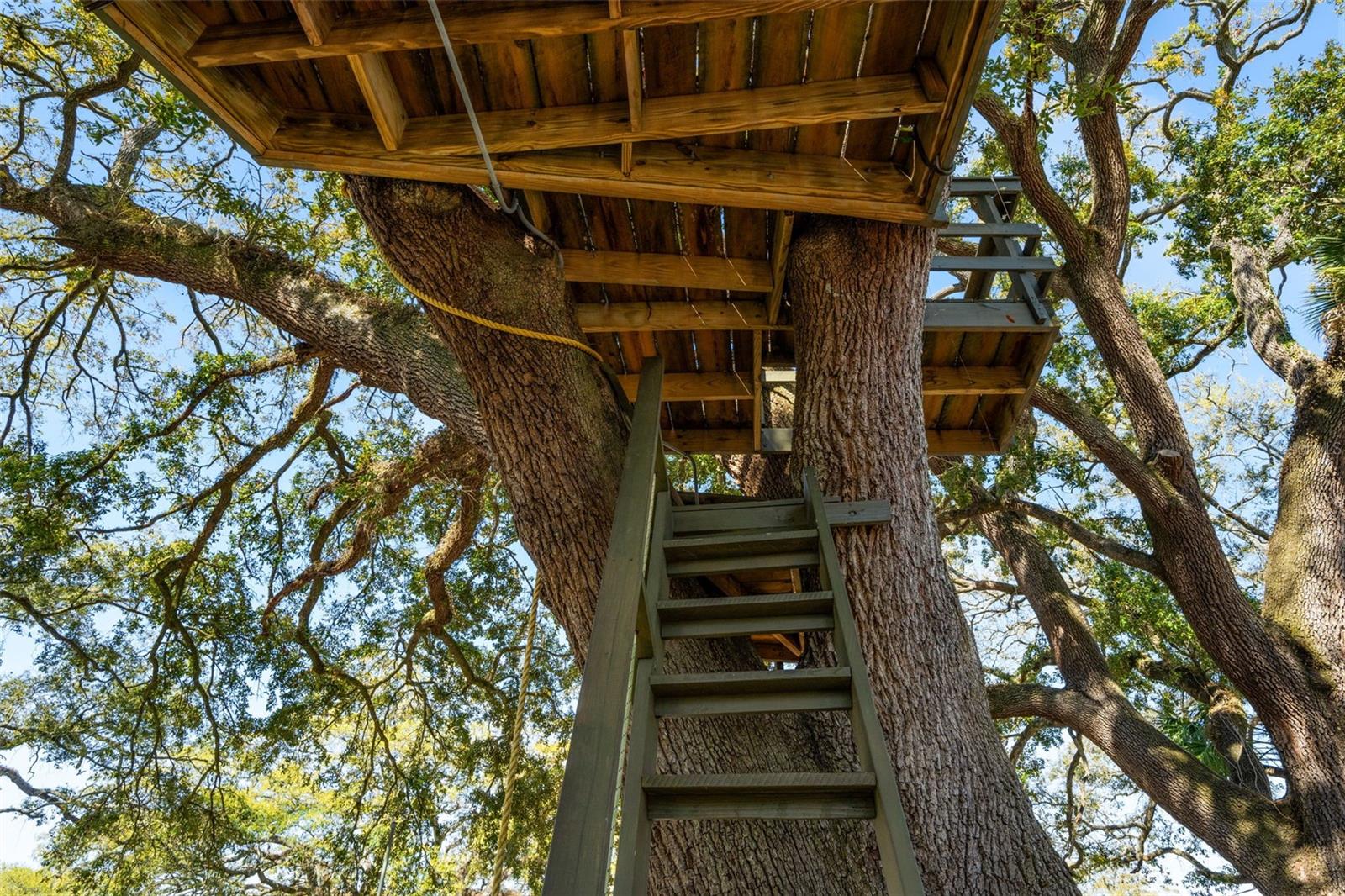 treehouse