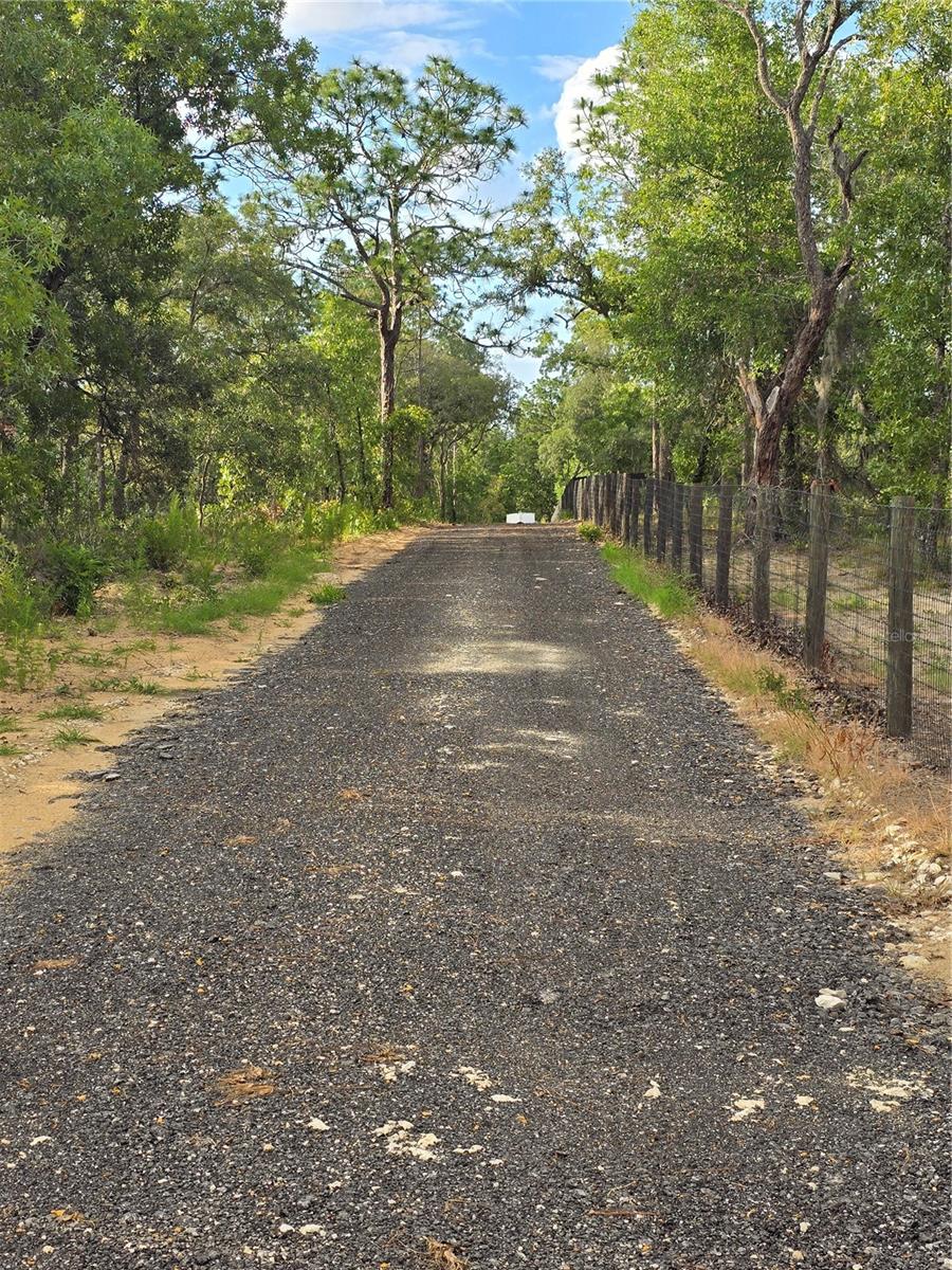 LONG PRIVATE DRIVEWAY