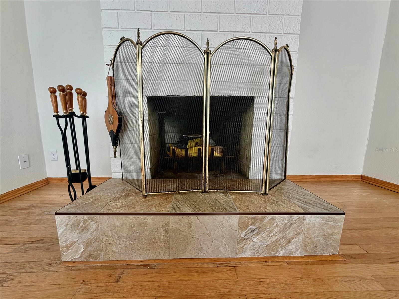 Wood-burning fireplace