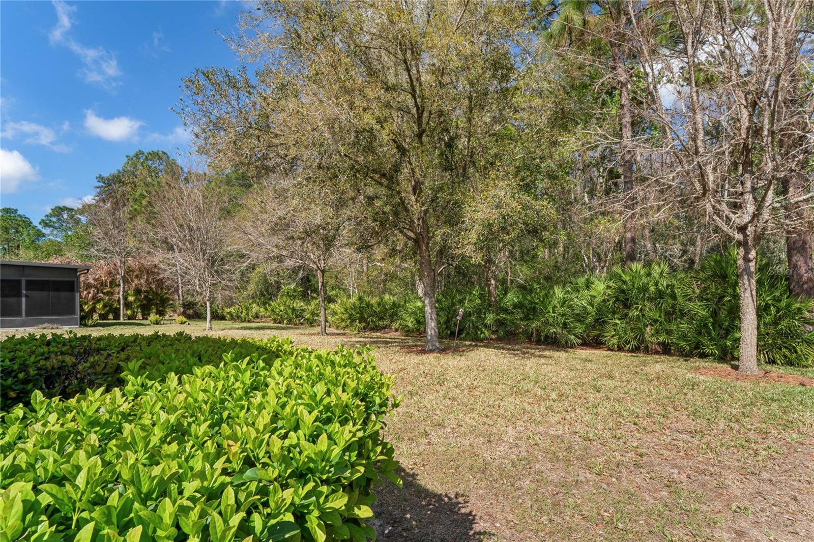 MAINTENANCE INCLUDES LAWN, SHRUBS AND ORIGINAL TREES