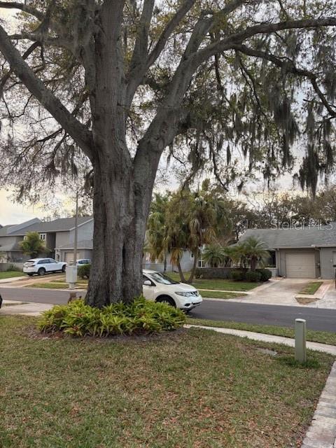 Street view looking out from property