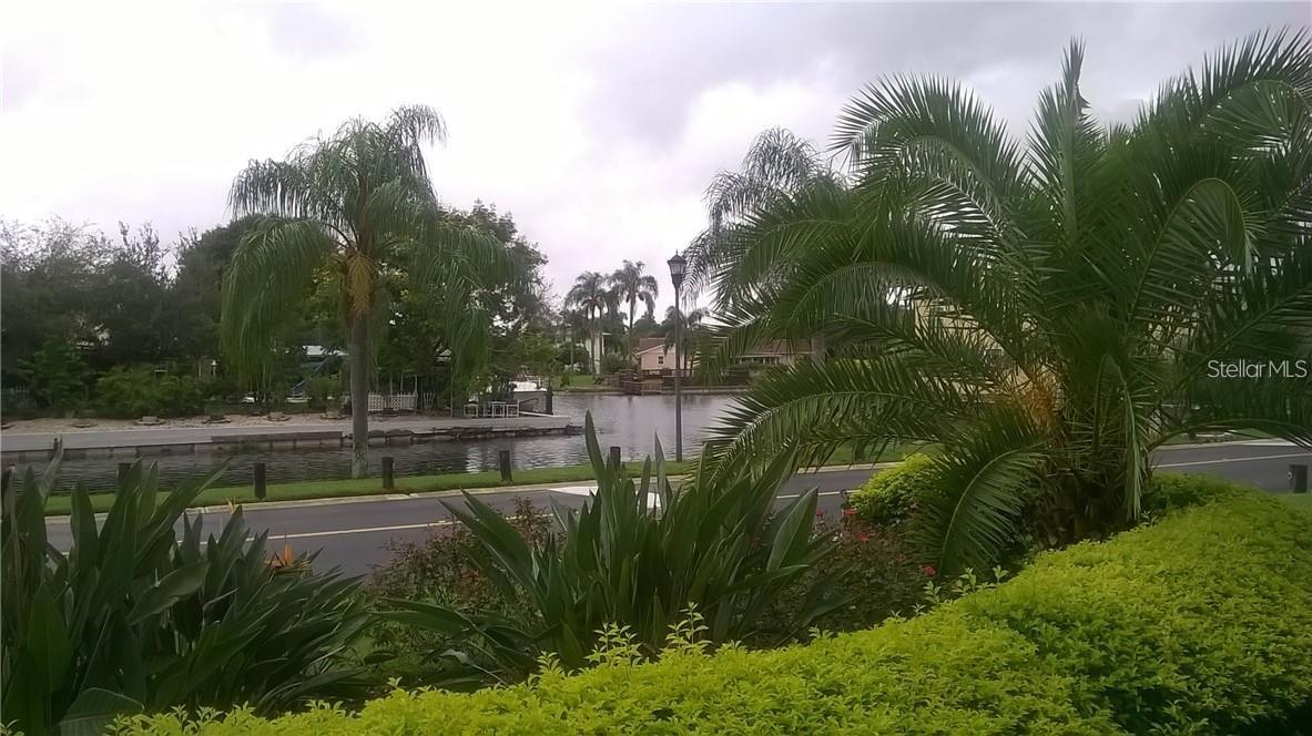 Saltwater Canal view from back porch
