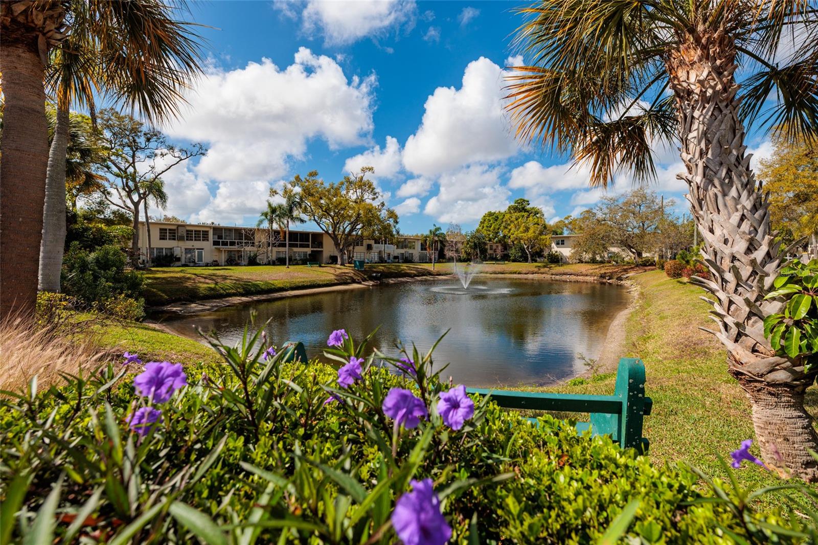 Peacefun pond can be enjoyed from your front porch.