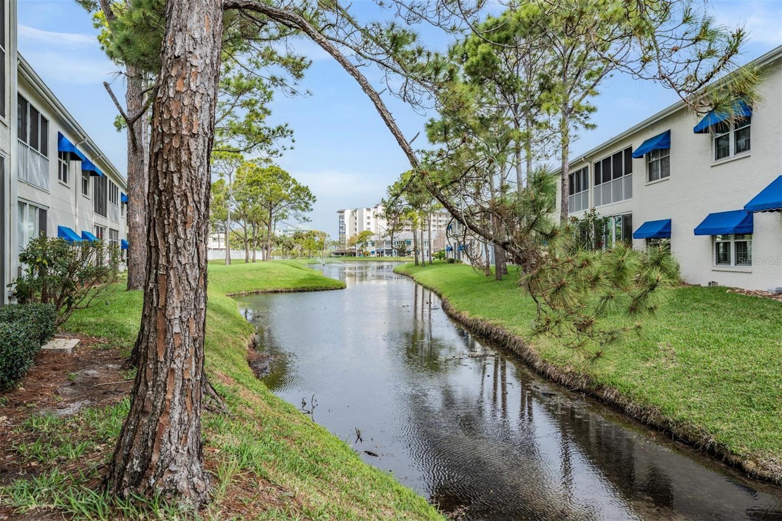 Creek and Nature Area