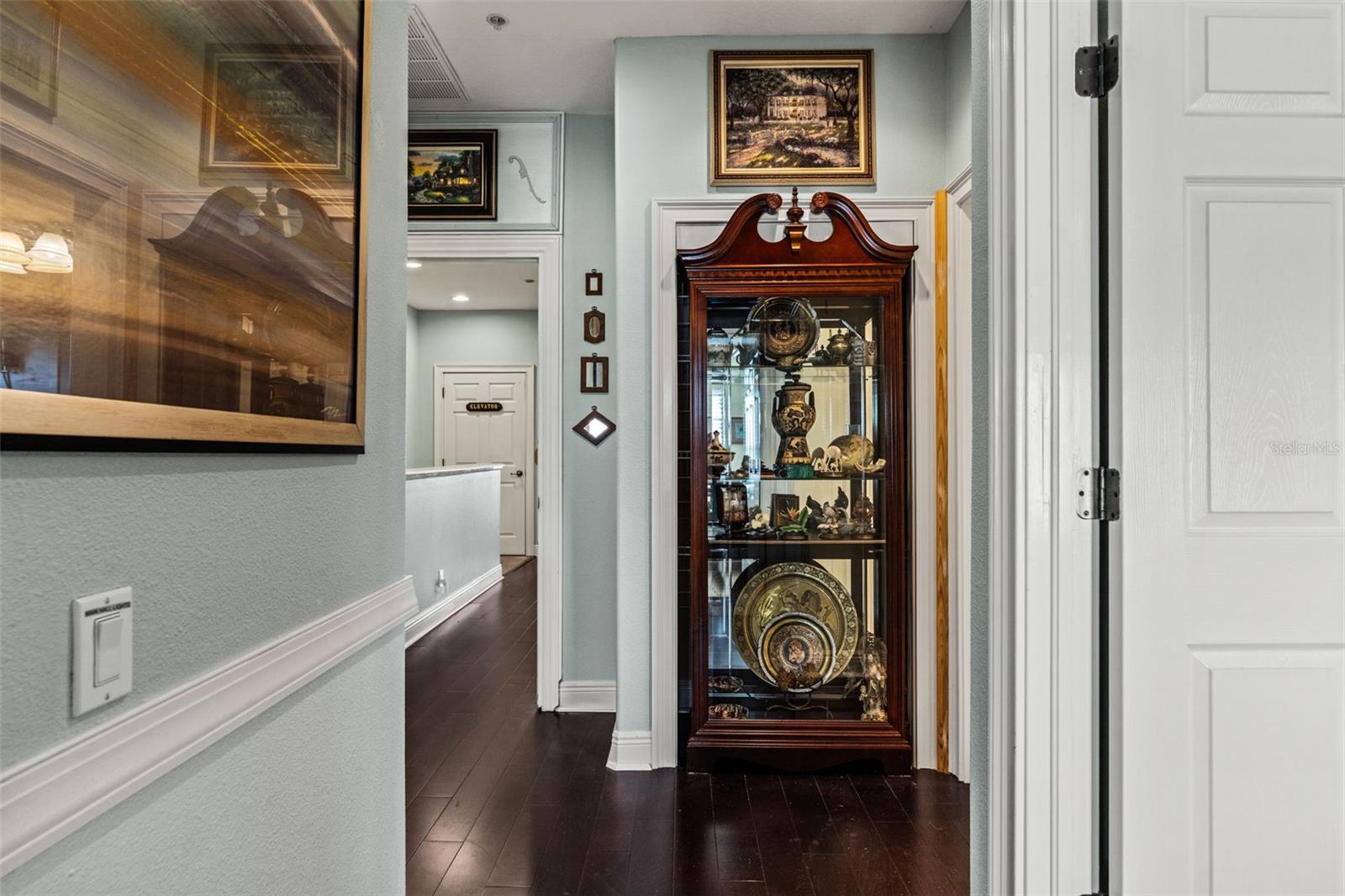 Interior corridor with wood flooring and display cabinetry, adding character and storage within the home.