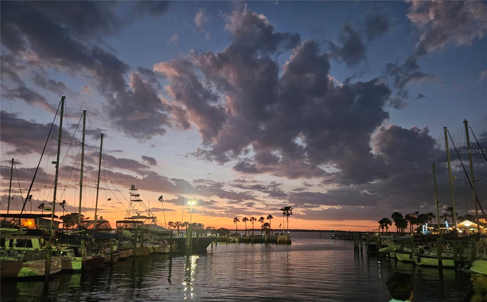 Sunset from Dunedin Marina