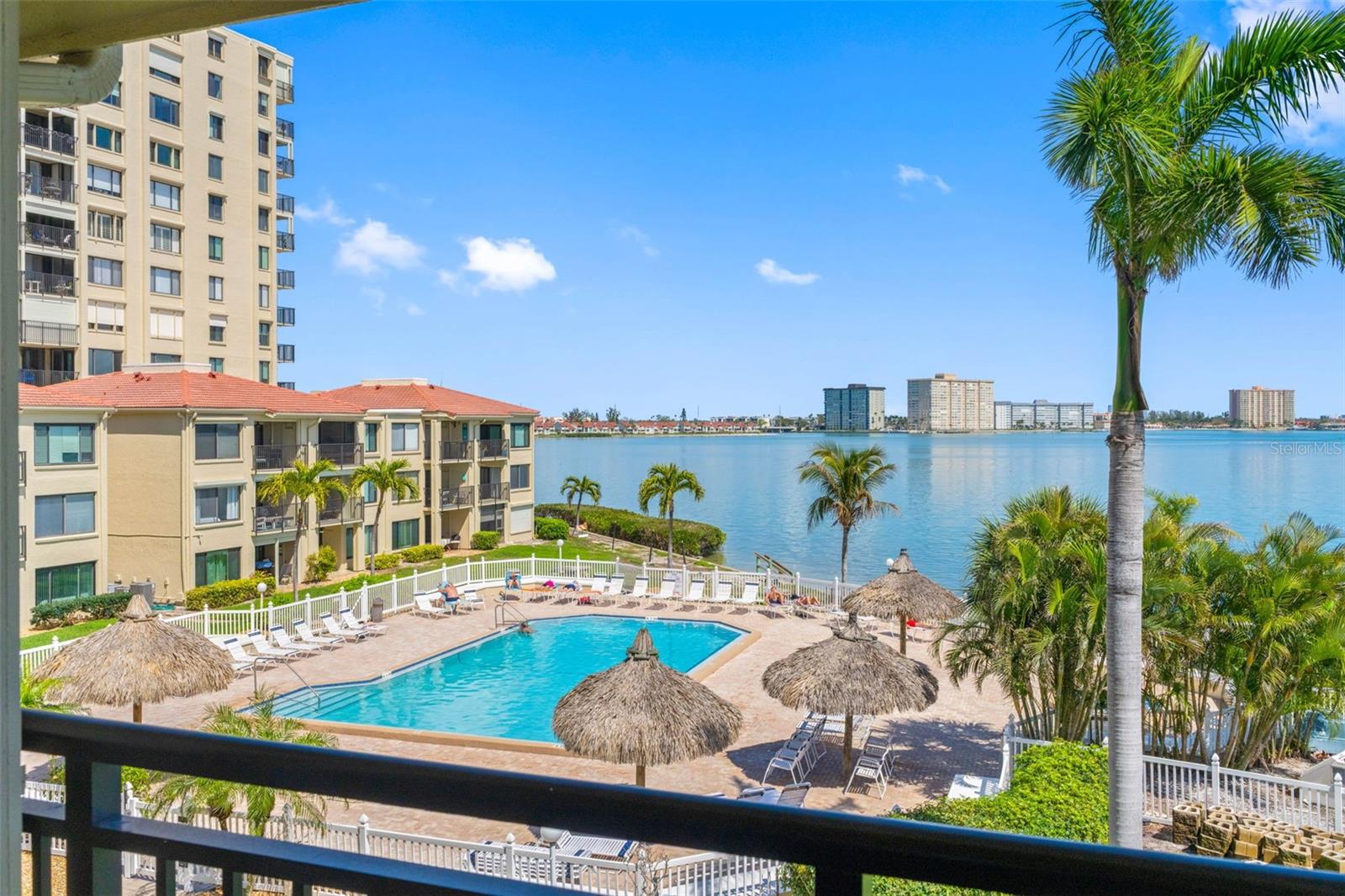 Morning Coffee with Dolphins and Sailboats Passing By