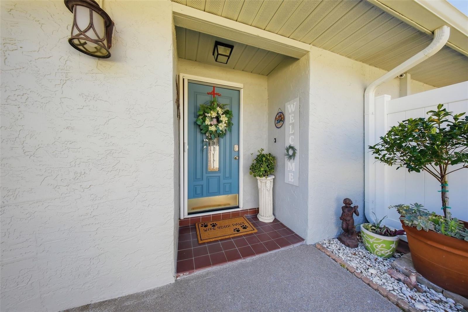 New Front entry Door