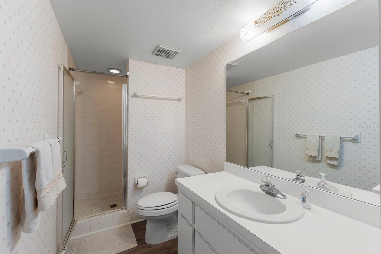 Primary bath with step-in shower