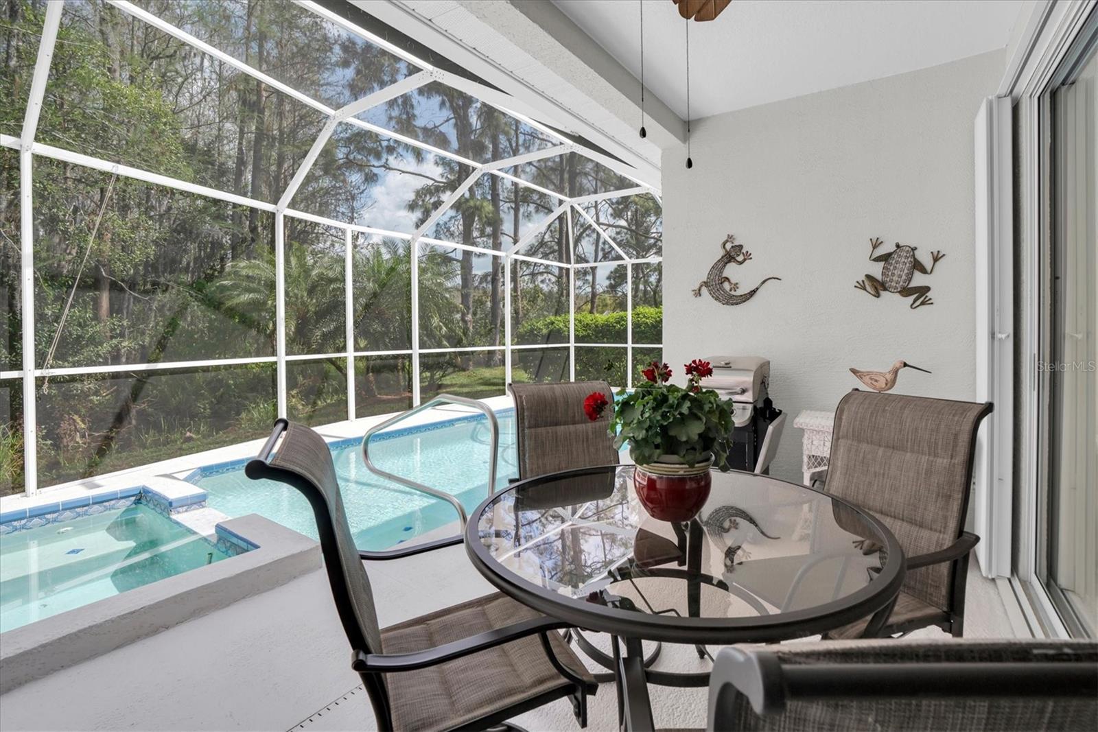 Covered Lanai - Conservation Views - Eastern Exposure