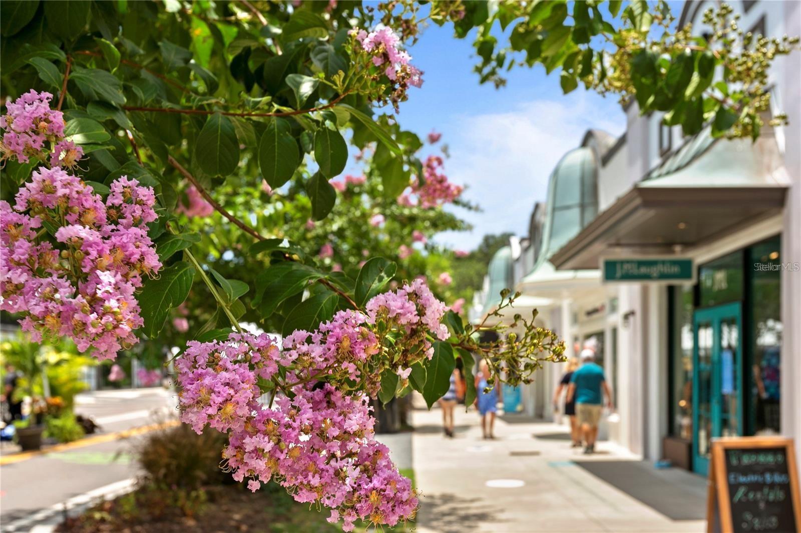 Steps from dining and boutique shops in Hyde Park Village