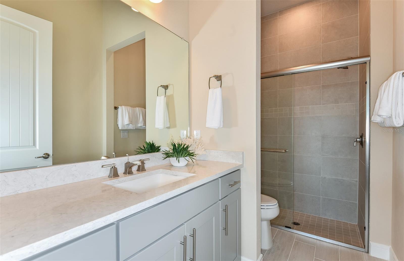 Model Representation