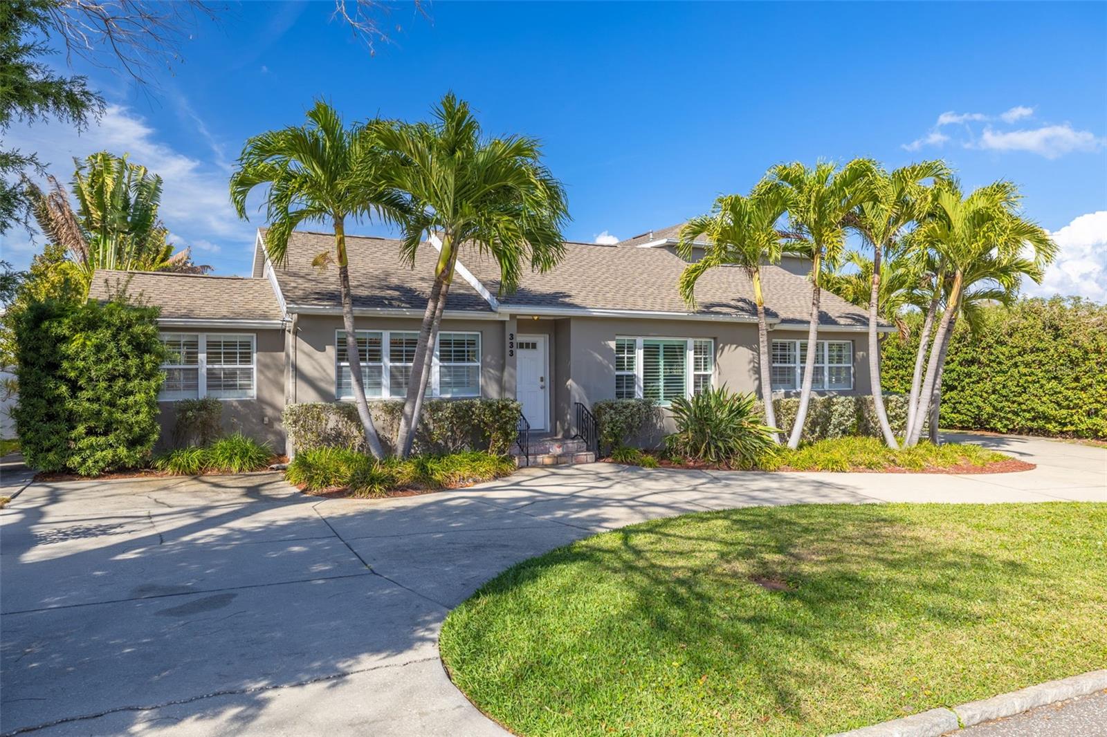 Palm Trees in Your Front Yard!