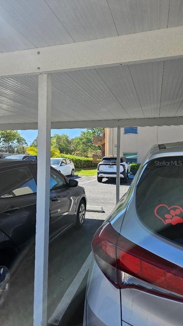 STEPS FROM THE UNIT TO THE CARPORT.