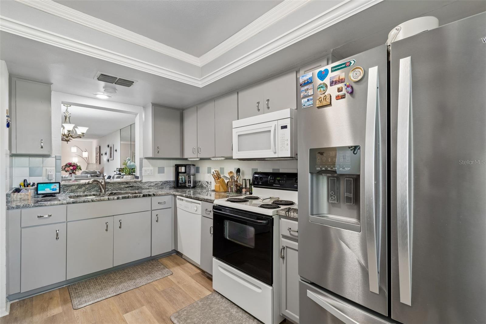 Granite Countertops & Stainless Steele Refrigerator