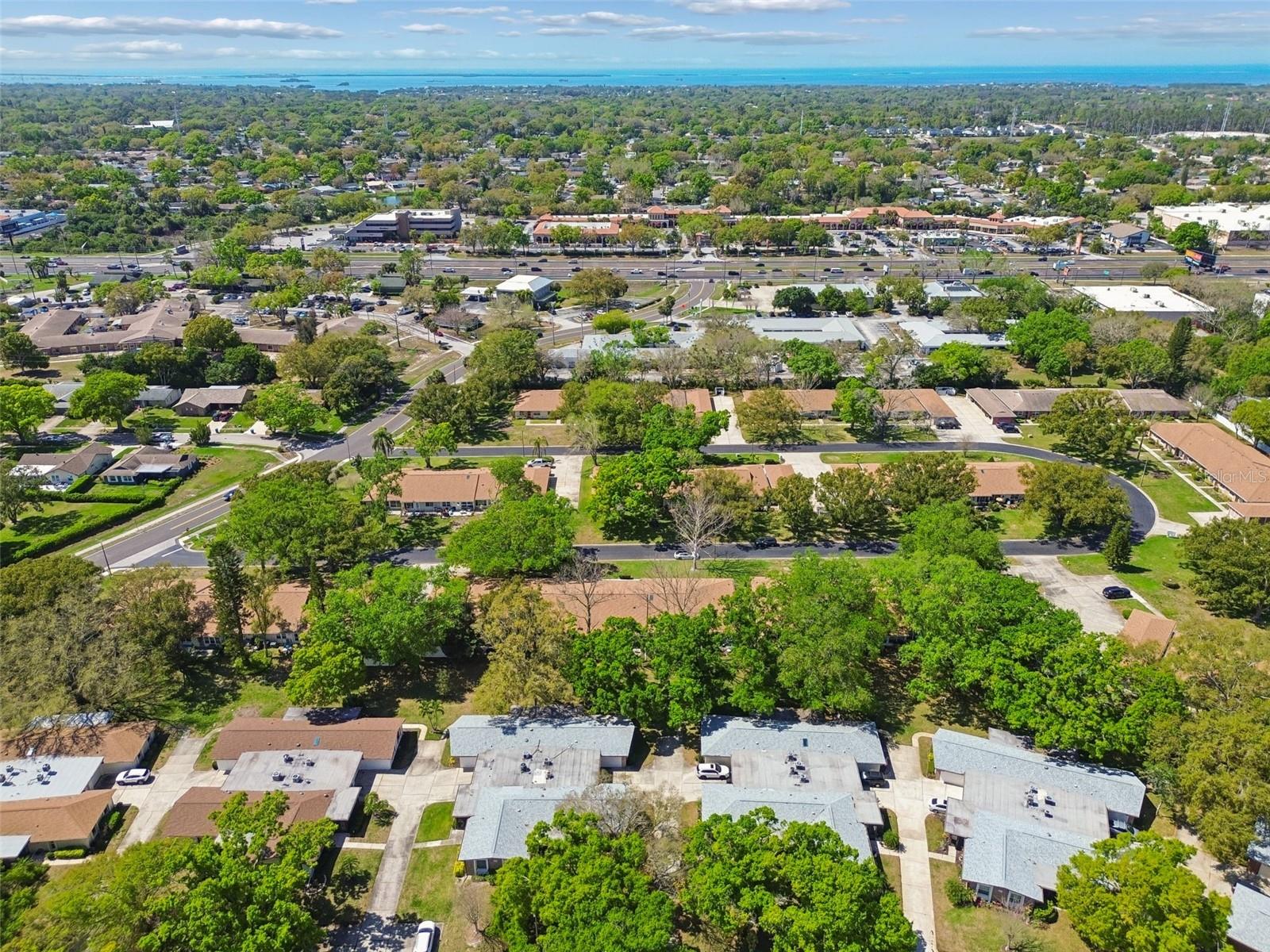 Beautiful Neighborhood