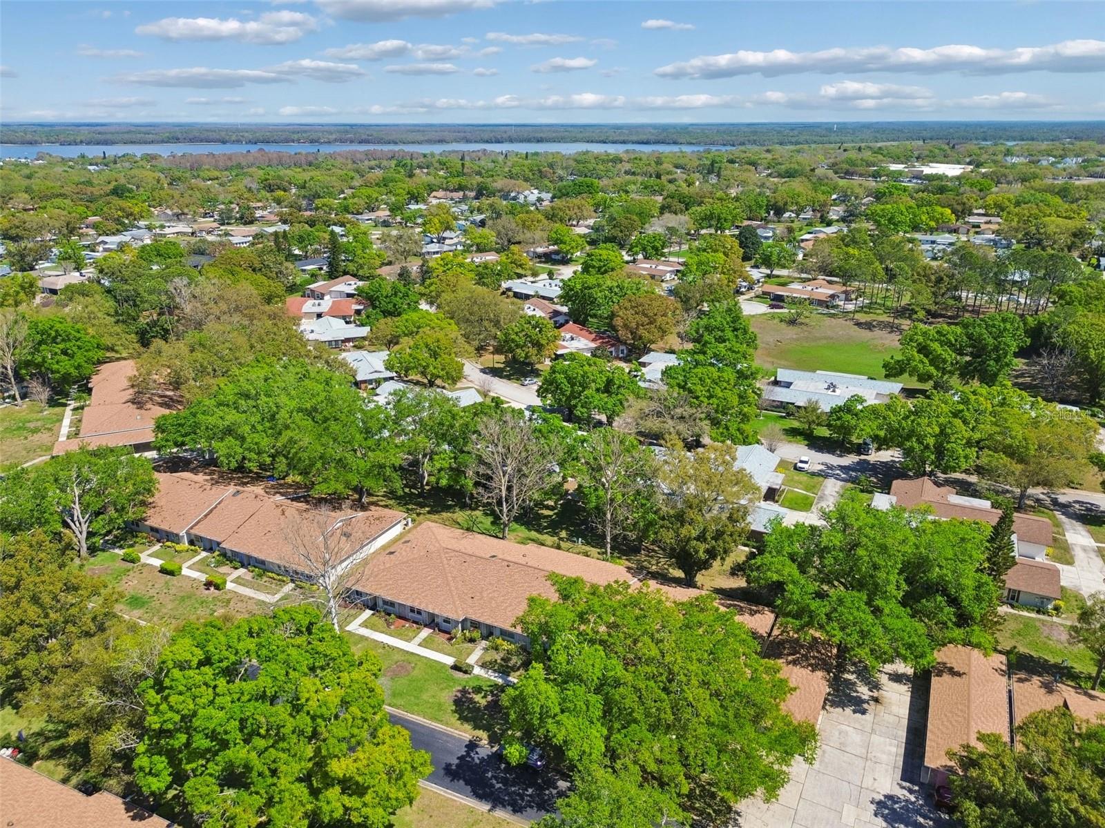 Close to beautiful Lake Tarpon