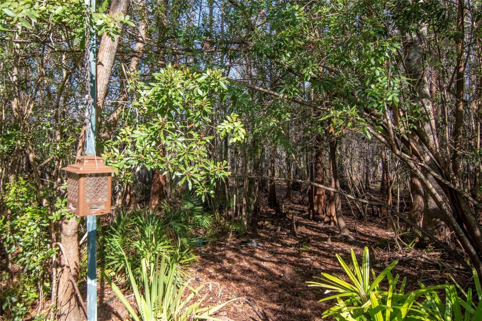 Wildlife Views From Private Patio