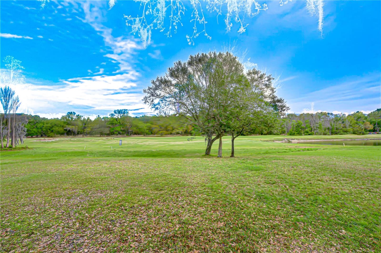 Golf course views