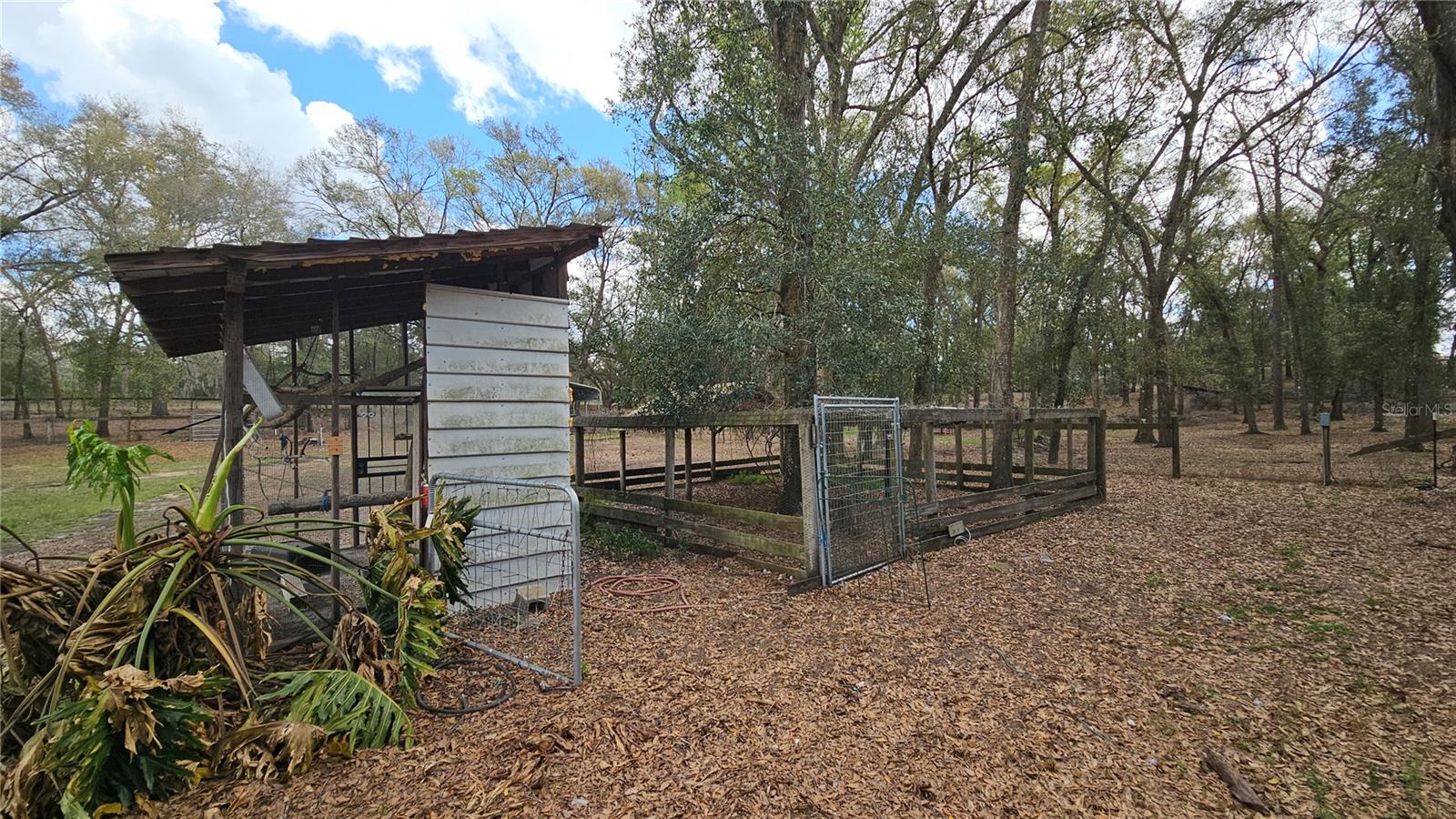 Side view of chicken coop & bird cage
