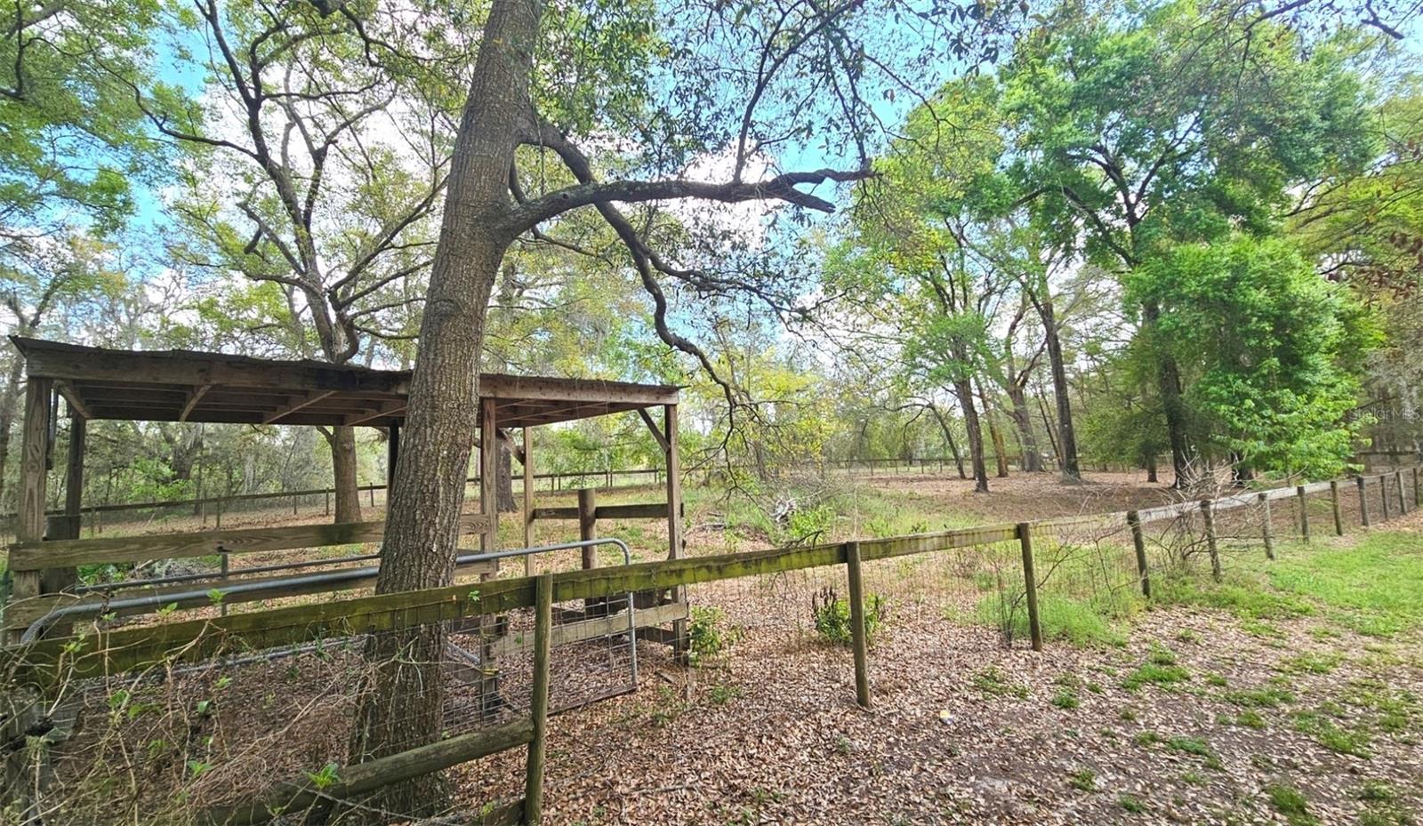 View of fenced in pasture area
