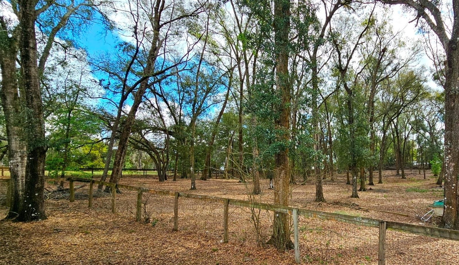 View of fenced in pasture area