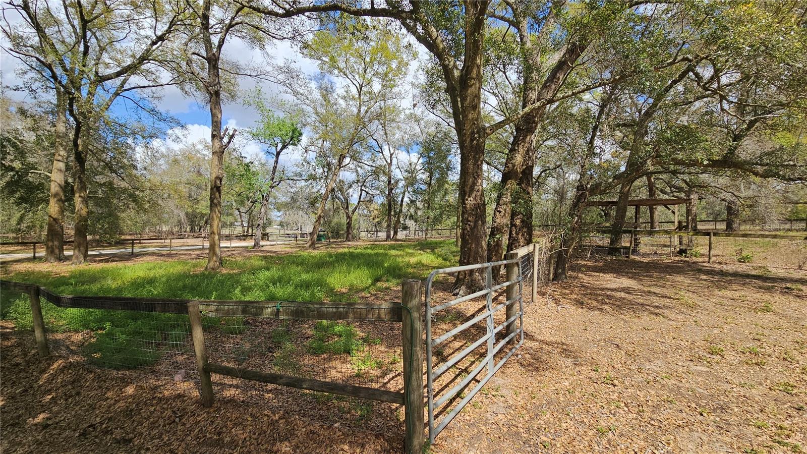 5 Fenced Acres in Dade City Equestrian Community