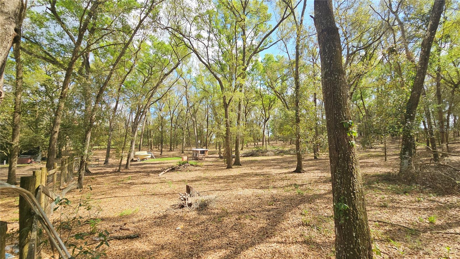 5 Fenced Acres in Dade City Equestrian Community