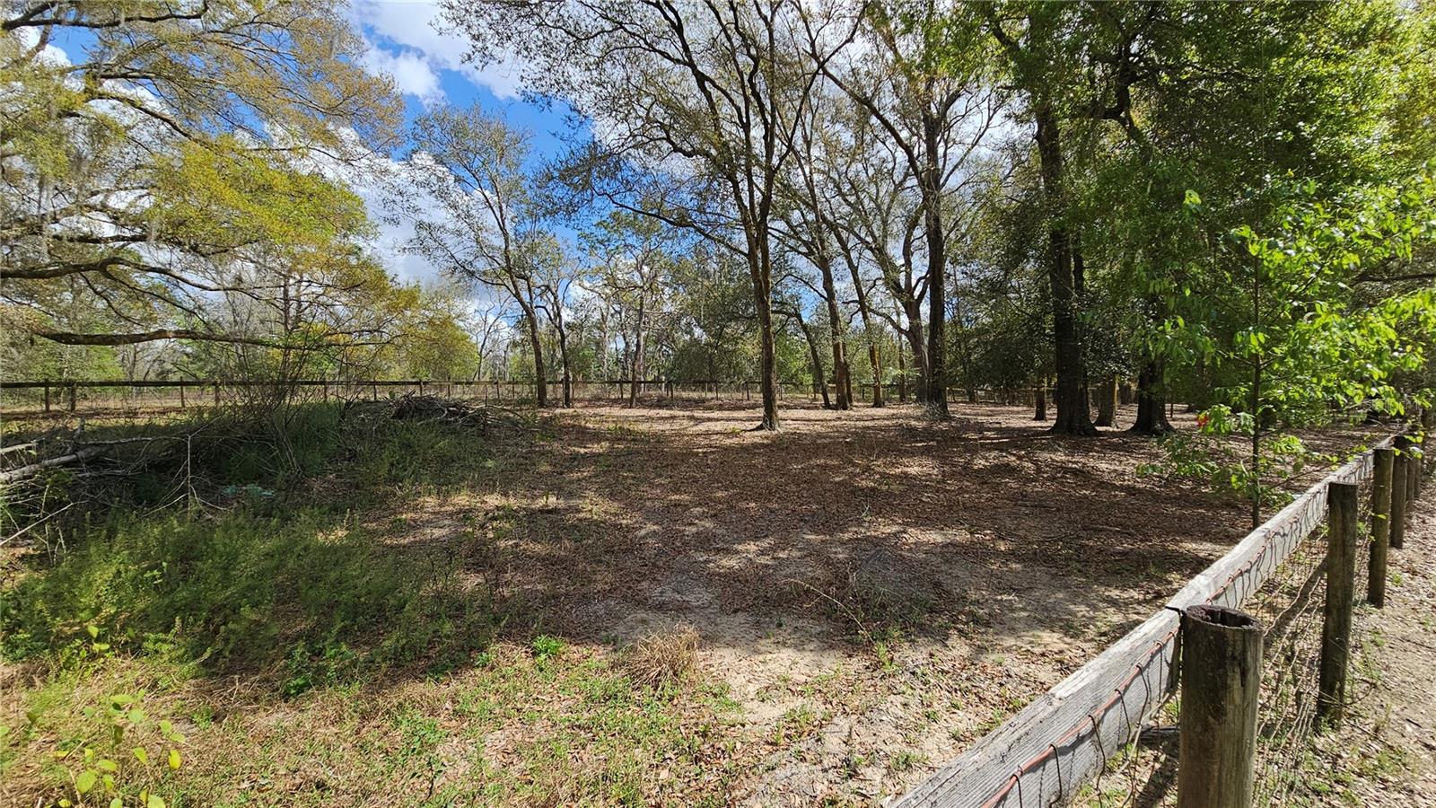 5 Fenced Acres in Dade City Equestrian Community